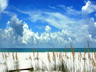 Beaches Of South Walton Home 931355 Beaches Of South Walton Home 931355