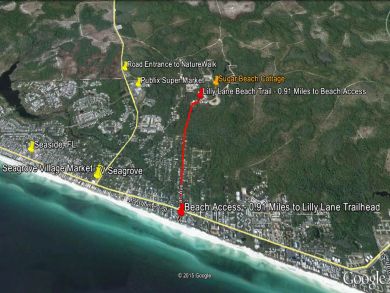 Beaches Of South Walton Home 931362