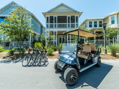 Beaches Of South Walton Home 931378