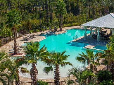 Beaches Of South Walton Home 931383