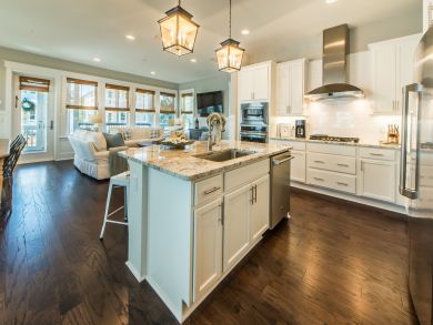 Beaches Of South Walton Home 931476