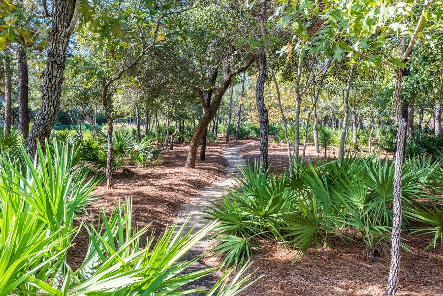 Beaches Of South Walton Home 931552