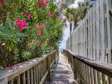 Beaches Of South Walton Home 931654