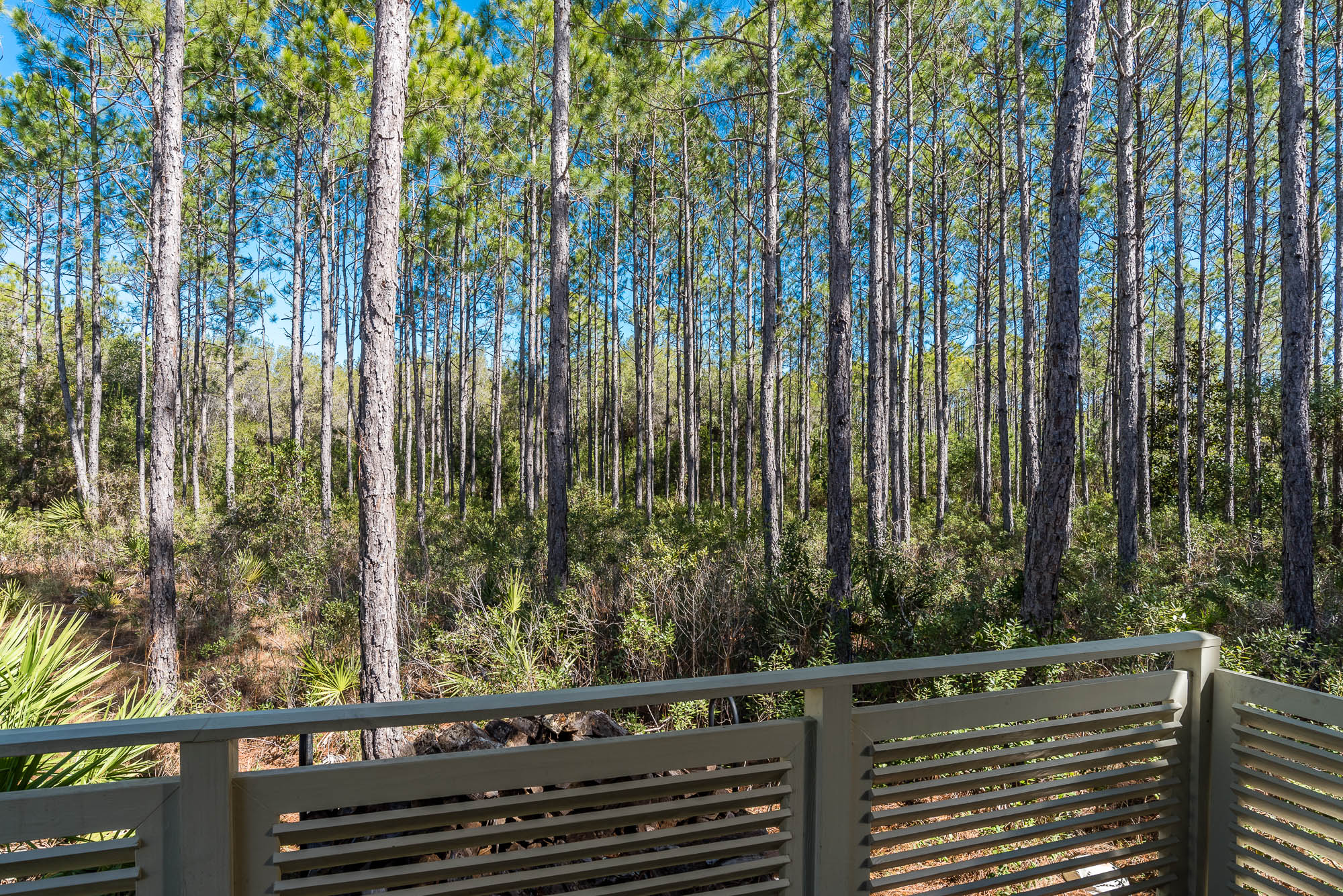 Beaches Of South Walton Home 931705
