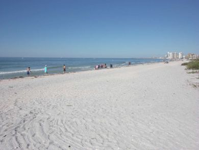 Clearwater Condo 931733
