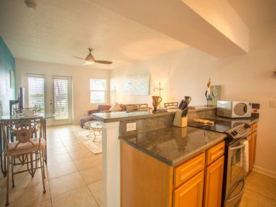 St. Petersburg Condo 931734