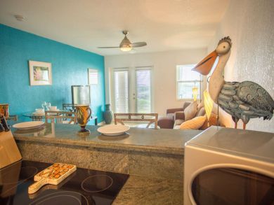 St. Petersburg Condo 931734