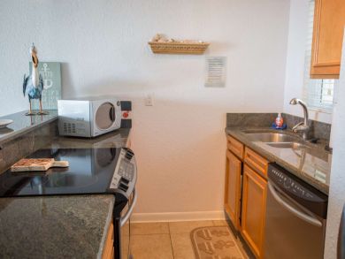 St. Petersburg Condo 931734
