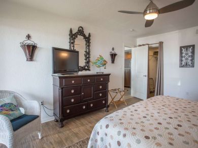 St. Petersburg Condo 931734