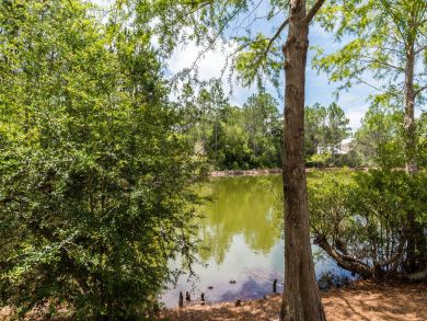 Beaches Of South Walton Home 931772