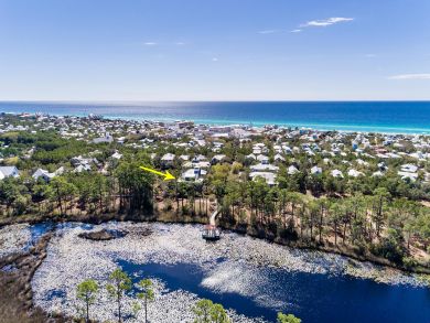 Beaches Of South Walton Home 931776