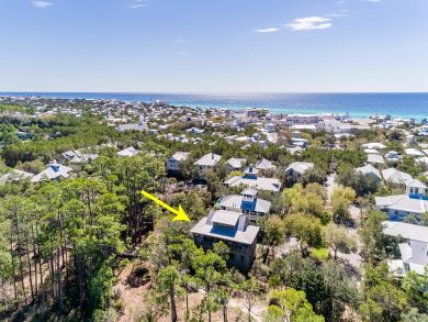 Beaches Of South Walton Home 931776