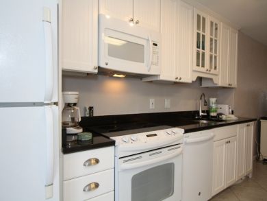 St. Petersburg Condo 931813