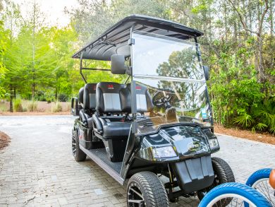 Beaches Of South Walton Home 931887