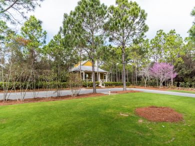 Beaches Of South Walton Home 931887