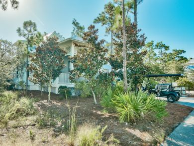 Beaches Of South Walton Home 931963