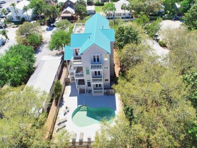 Grayton Beach Gulf Views Magnificent Residence