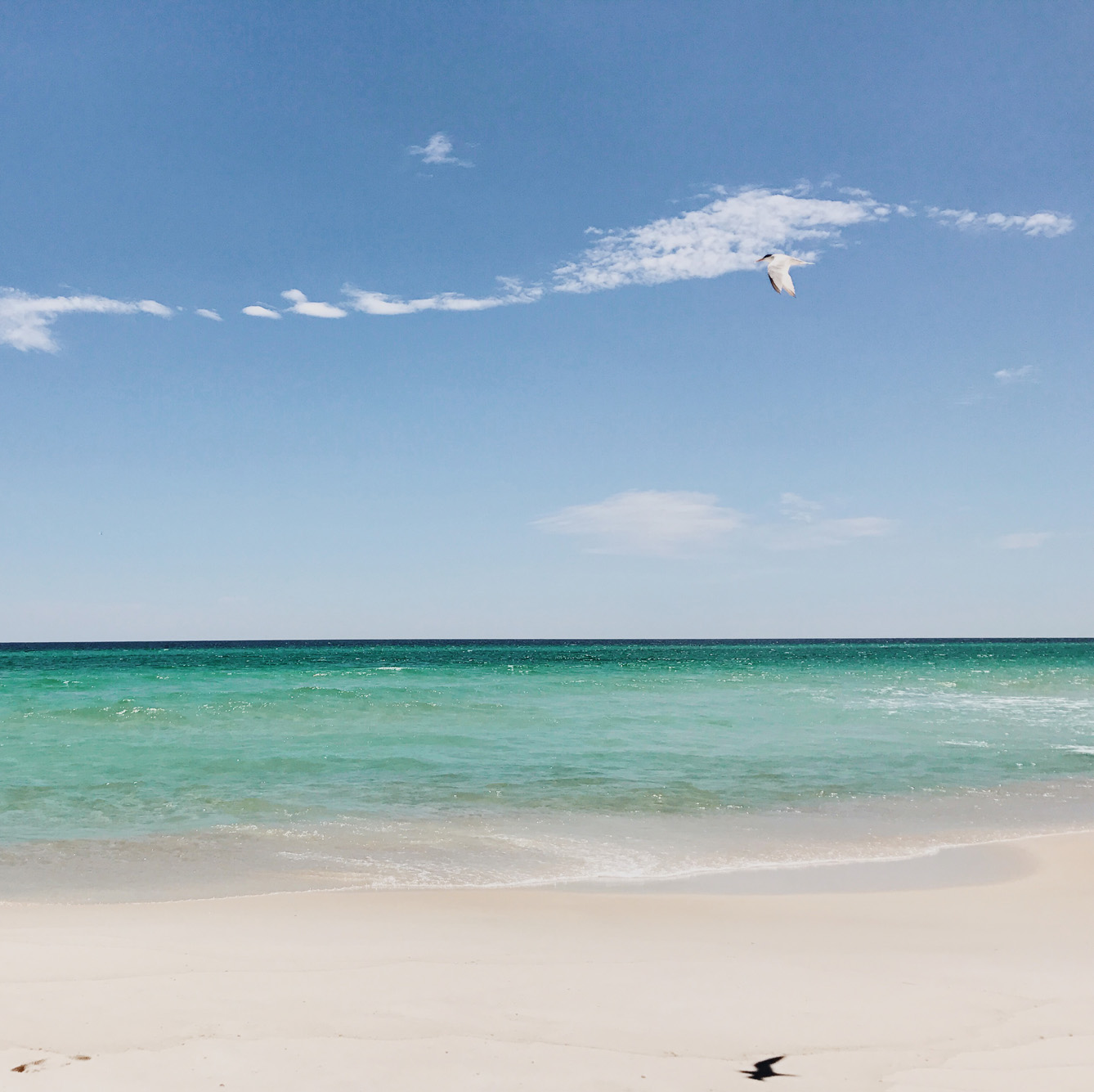 Beaches Of South Walton Five Bedroom Luxury Vacation Home