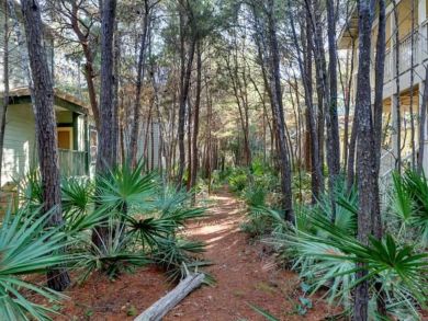 Beaches Of South Walton Home 932346