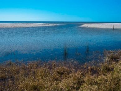 Beaches Of South Walton Home 932346