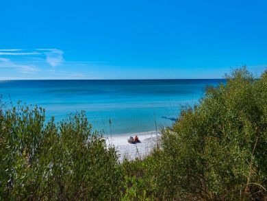 Beaches Of South Walton Condo 932379