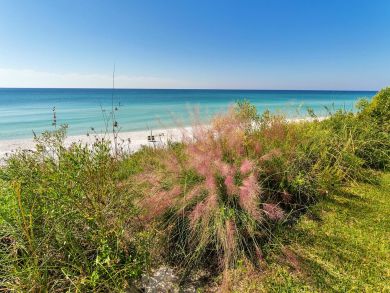 Beaches Of South Walton Condo 932379
