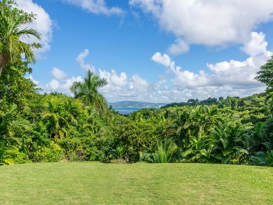 Jamaica Home 932397