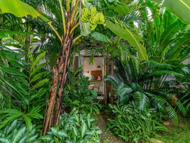 Jamaica Home 932397