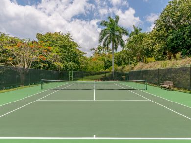 Jamaica Home 932399