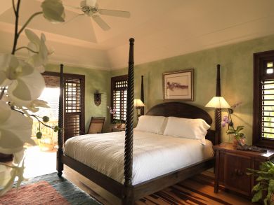 Jamaica Home 932401