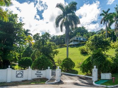 Jamaica Home 932407