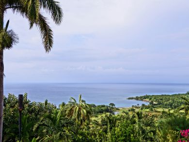 Jamaica Home 932414 Jamaica Home 932414