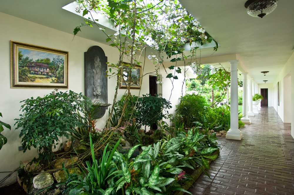 Jamaica Home 932424 Jamaica Home 932424