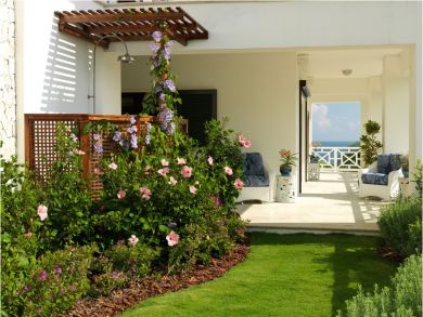 Jamaica Home 932425
