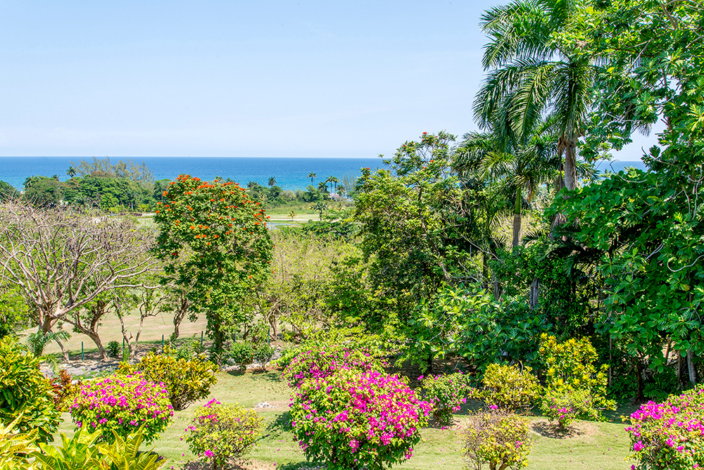 Jamaica Home 932450