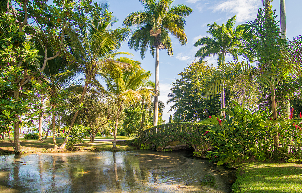 Jamaica Home 932520 Jamaica Home 932520