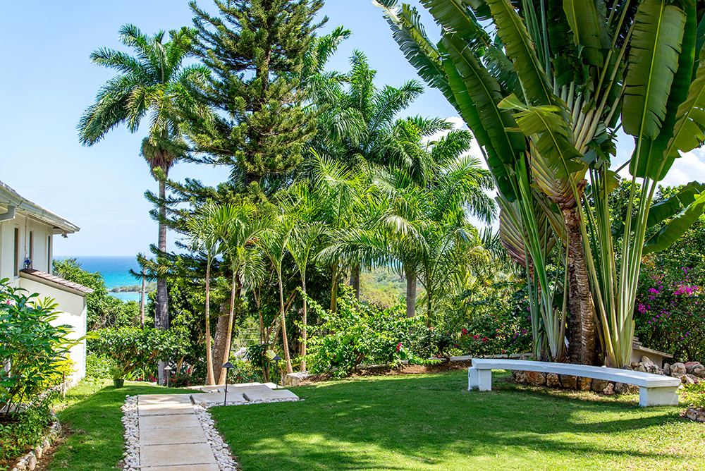Jamaica Home 932521