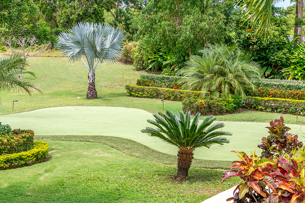 Jamaica Home 932524