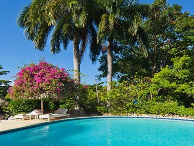 Jamaica Home 932526