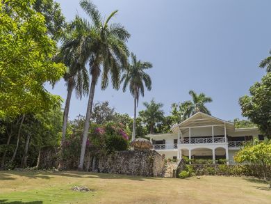 Jamaica Home 932526