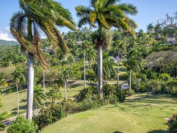 The ultimate Villa Club Amenities & Staff