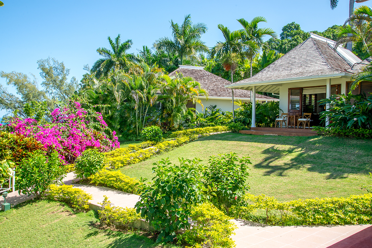 Jamaica Home 932544