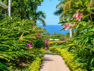 Jamaica Home 932544