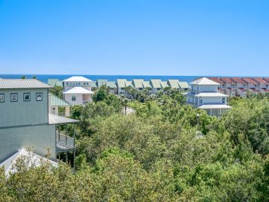 Beaches Of South Walton Home 932615