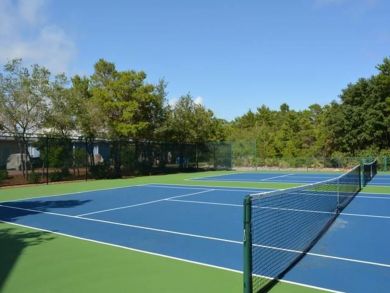 Beaches Of South Walton Home 932667
