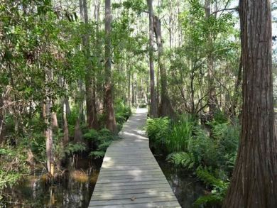 Beaches Of South Walton Home 932667