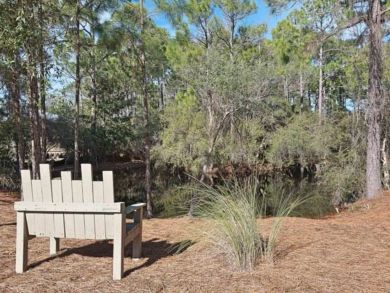 Beaches Of South Walton Home 932667