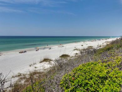 Beaches Of South Walton Condo 932688