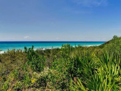 Beaches Of South Walton Condo 932691