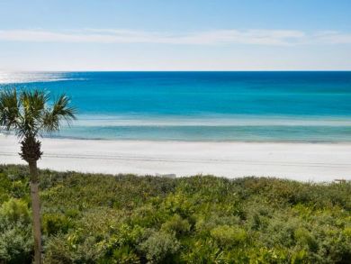 Beaches Of South Walton Condo 932693